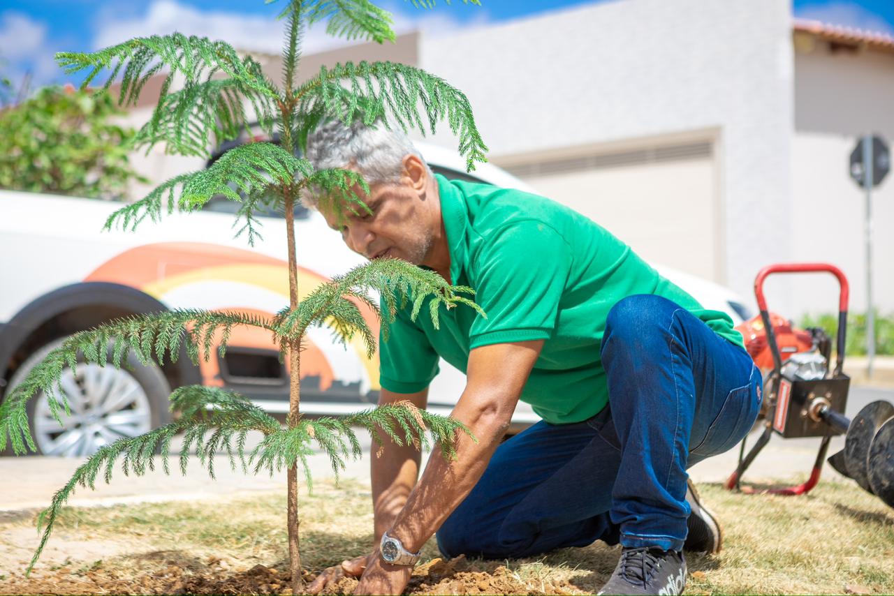 Irecê Mais Verde: projeto contempla mais de 8 mil metros de áreas e prevê o plantio de mais de 600 mudas